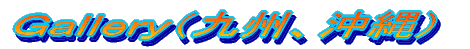 �f������������