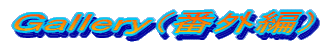 Gallery(番外編)